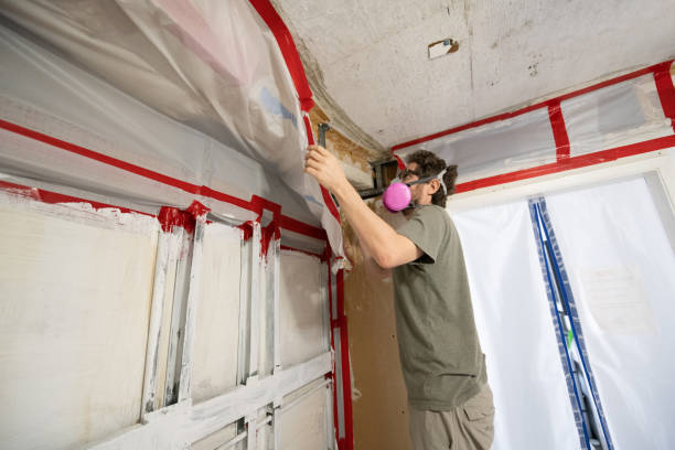 Best Emergency Mold Remediation  in Rockwell City, IA