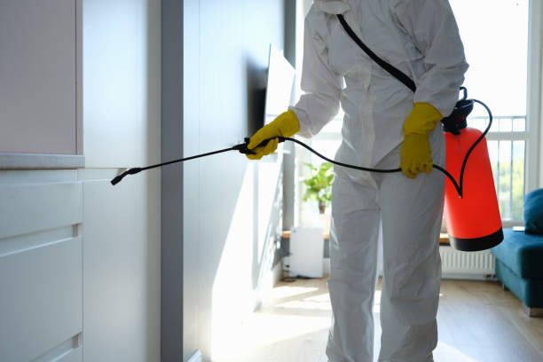 Best Environmental Consulting for Mold Prevention  in Rockwell City, IA