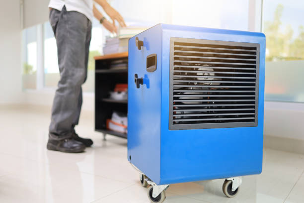 Best Attic Mold Removal  in Rockwell City, IA