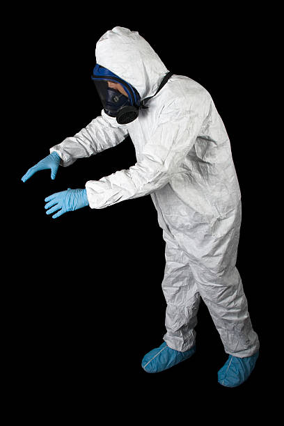 Rockwell City, IA Mold Removal Company